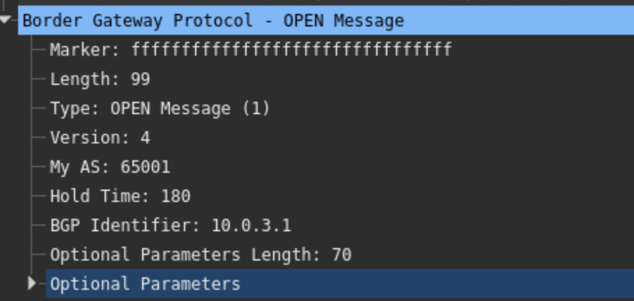 BGP OPEN — AS65001 (R3)