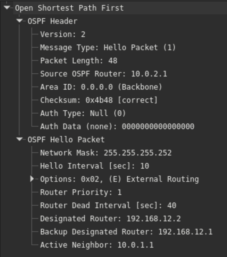 LS Update — Router-LSA, Network-LSA
