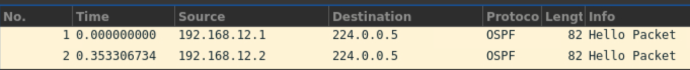 OSPF Hello 패킷